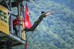 bungy-featured-image
